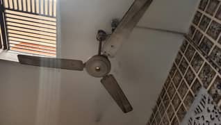 56 inch fan 100% working copper winding