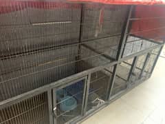 Animal and Birds cage