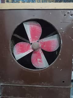 Room Cooler