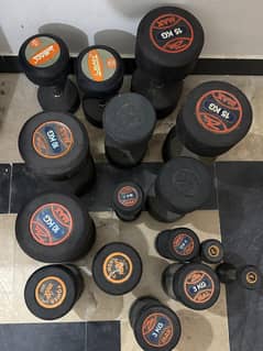 Dumbbells for sale