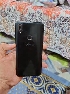 VIVO