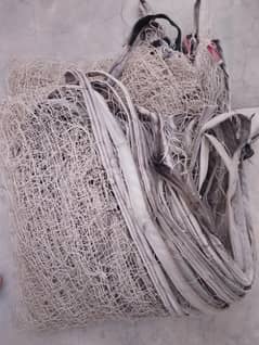 cricket net 10 x 100
