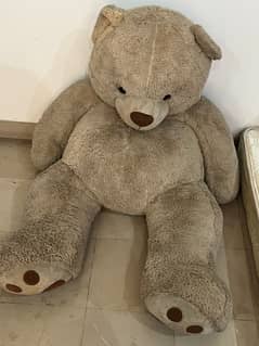 New brown colour big teddy