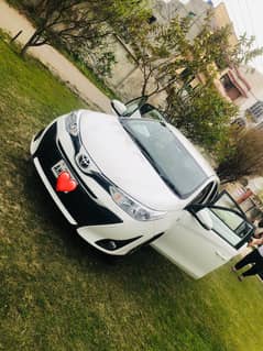 total janion serious buyers contact me