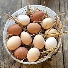 Pure organic Desi eggs