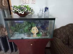 Aquarium