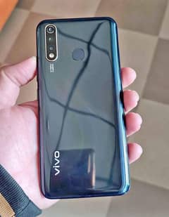 vivo