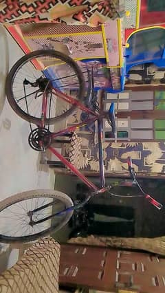 Cycle