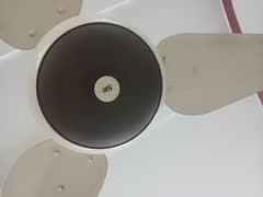 ceiling Fans Sk