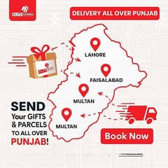 Elite Courier & Cargo Faisalabad based Courier Service