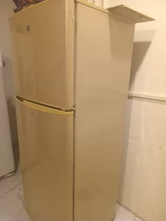 Pel fridge for sale(03049409409)