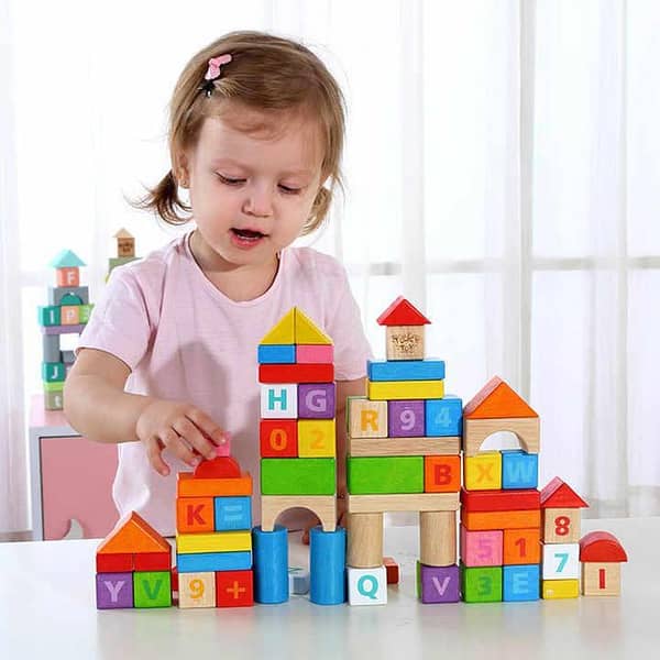Wooden Lilong Educational Blocks Toy