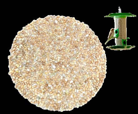 Kangani (Bareek kangani) - White Millet Seeds, Birds food for Canaries,Finches, Waxbills, Budgies, Lovebirds cocktail, Alexandrine - 1 KG