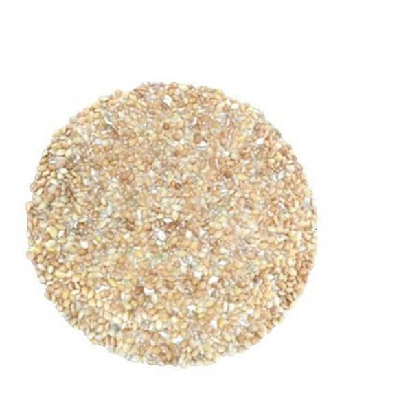 Kangani Bareek - White Millet Seeds, Birds food for Canaries,Finches, Waxbills, Budgies, Lovebirds cocktail, Alexandrine - 5 KG