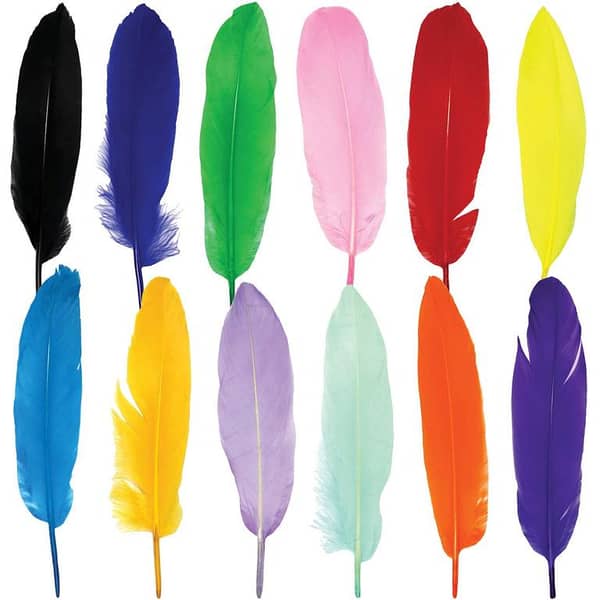 Pack of 12 Colorful Feathers for DIY Craft Wedding Home Party Decorations