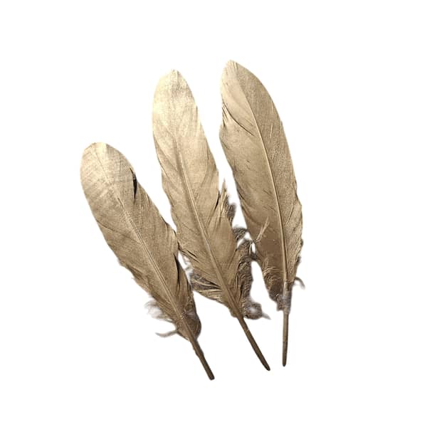 3Pcs Golden & Silver Decorative Feathers – Elegant Craft Accessories for Home Décor, DIY Projects, and Event Decorations