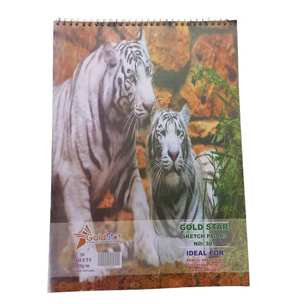 Drawing & Sketch Book 20 sheet - A3 110g - 160g - 300g - 350g