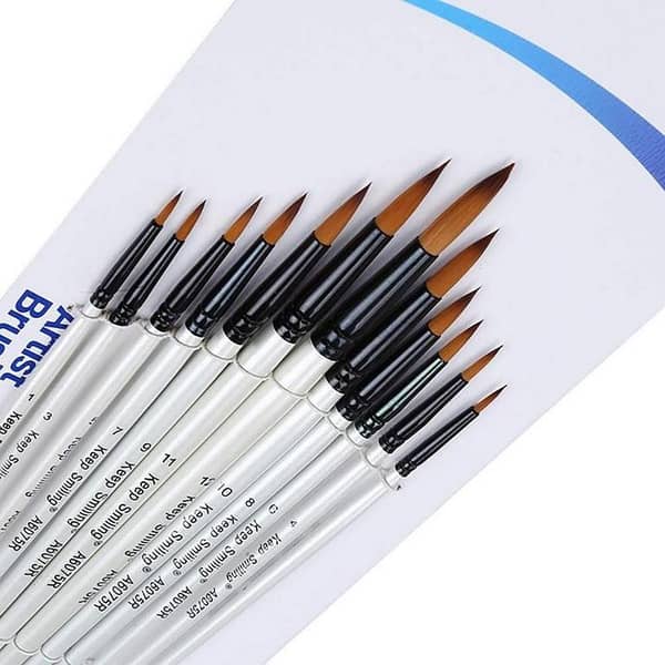 12 Pieces Professional Fine Tip Paint Brush Set Round Pointed Tip Nylon Hair Artist Acrylic Brush for Acrylic Watercolor Oil Painting