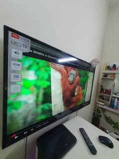 tcl brand led