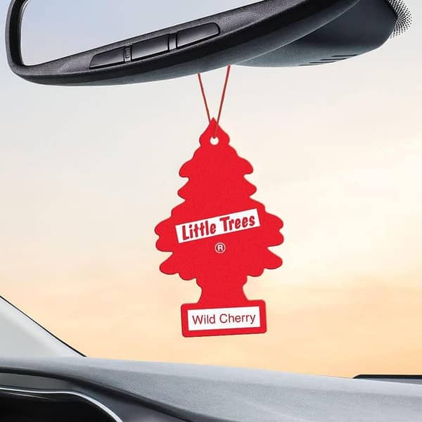 LITTLE TREES Air Fresheners Car Perfume Card -Wild Berry-