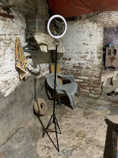 Tripord stand