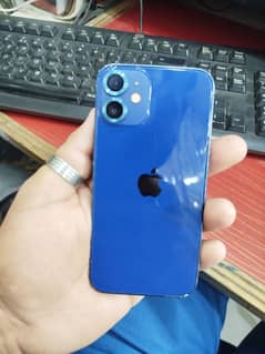 I phone 12 mini