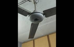 Ceilings Fans