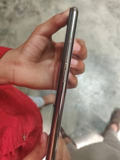 vivo y 17 pta ha