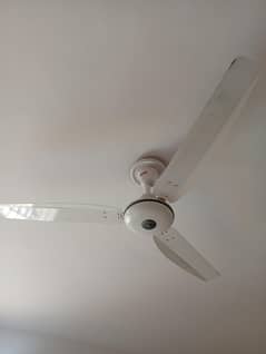 Ceiling fans for sale in good condition