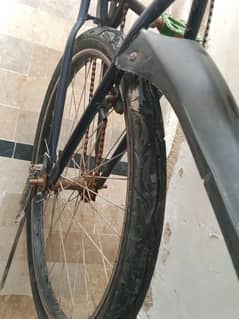Cycle