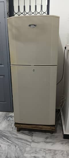 haier refrigerator