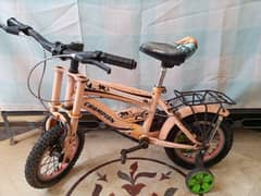 cycle whatshap no 0330+125+9905