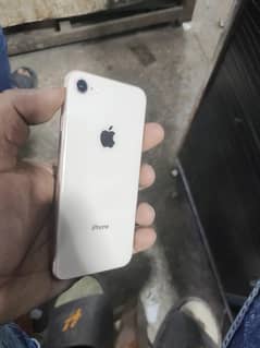 iPhone 8 non pta all ok