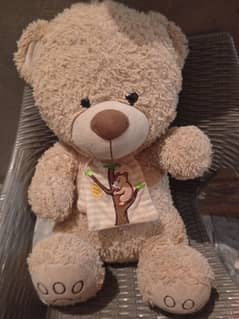Teddy