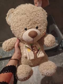 Teddy bear for sale