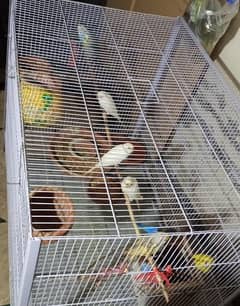Cage