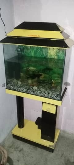 aquarium