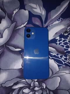 iPhone 12mini