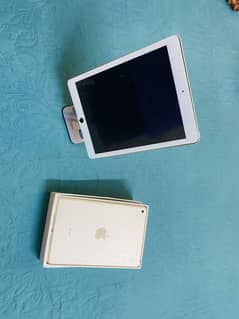 iPad 6 & iPad mini 4