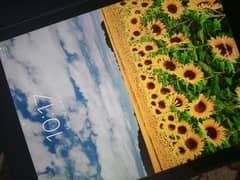 Apple Tablet