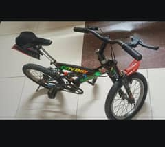 Cycle for 6-12 years old kids
