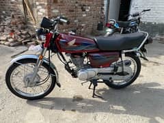 Honda 125 2024