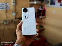 vivo
