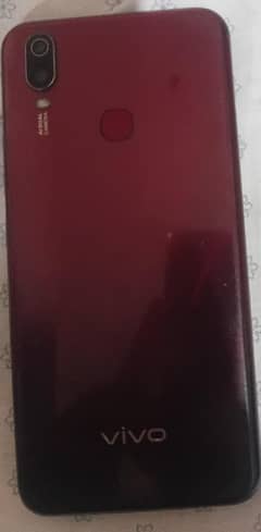 vivo