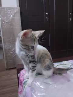 Cute
