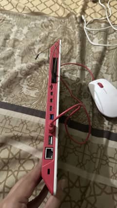 Raspberry