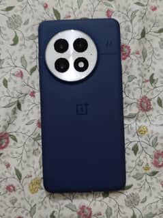 OnePlus 13 Indian model 12/256