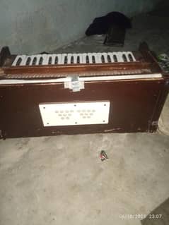 Bina Harmonium for sale