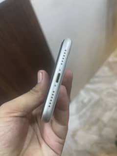 Iphone 11 pta approved