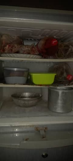 pel refrigerator medium sized